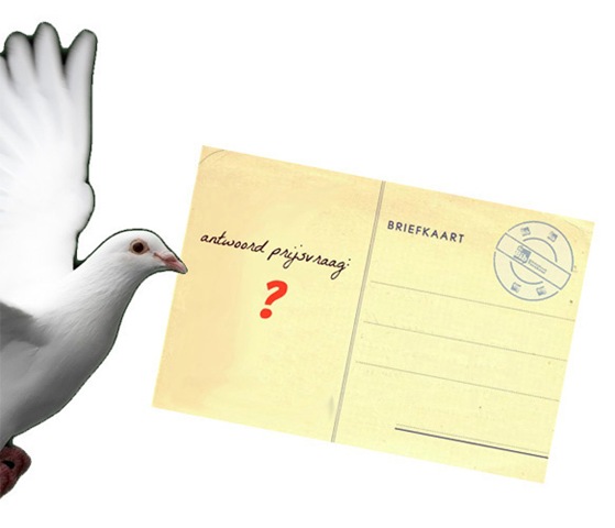 [duif%2520met%2520briefkaart%255B4%255D.jpg]