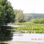 DSCN8266.JPG