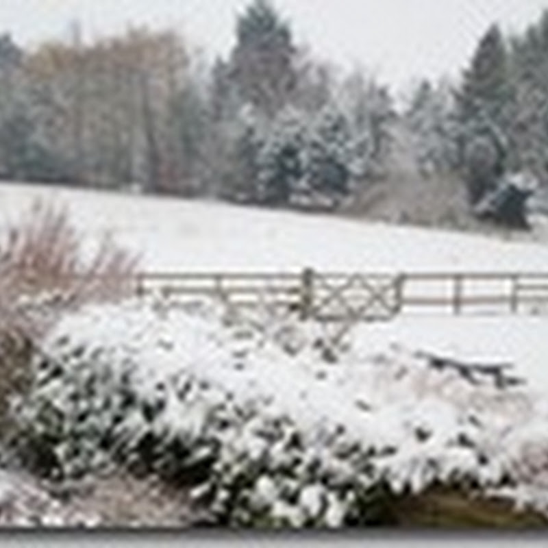 Snowy day in Cambridge