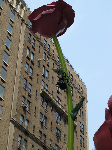 A beetle ascends one of the tallest blooms.