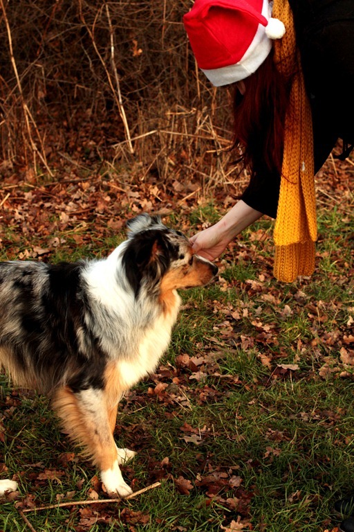 IMG_5325 IMG_5325