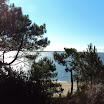 DSC00485.jpg
