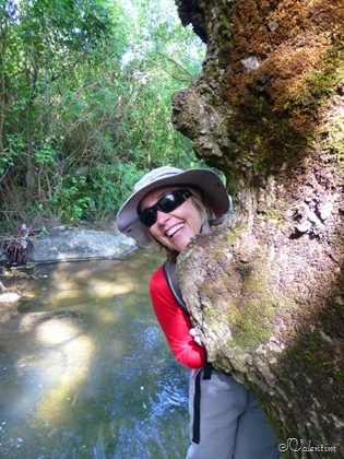 [P1030081%255B3%255D.jpg]