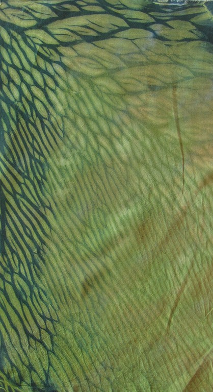 [dyeing%2520session%2520april2012%2520greenteallongsimple%255B5%255D.jpg]
