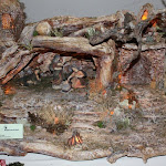 IMG_0867.jpg