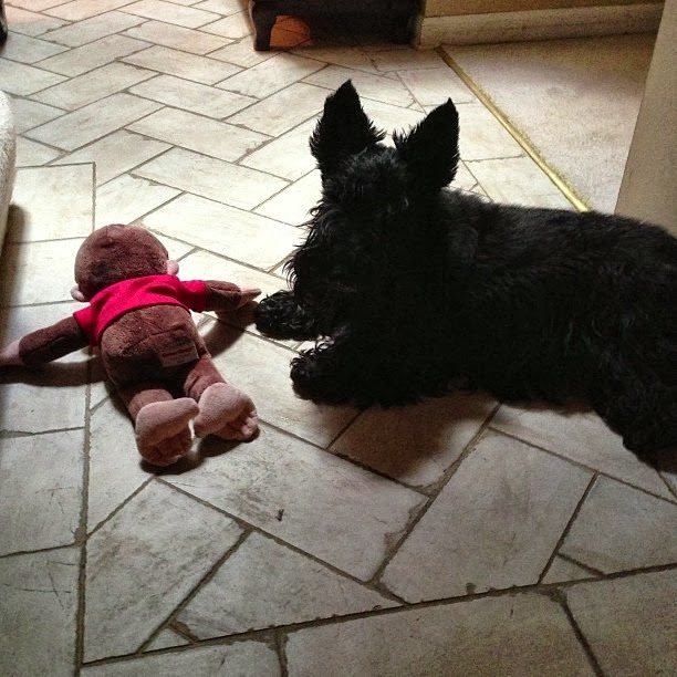 [2013-09-10_1378838179%255B3%255D.jpg]