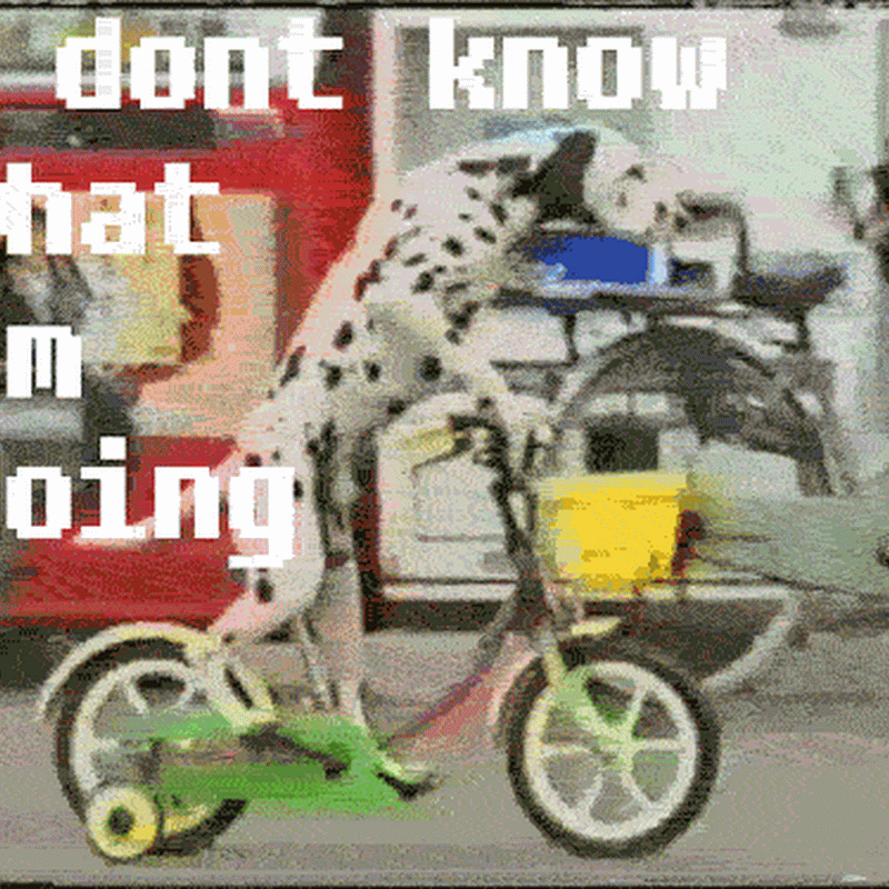 GIF - Anjing Lucu Naik Sepeda