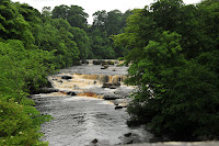YRK0-11_AP_Aysgarth Falls, Wensleydale (2).JPG