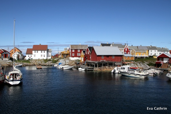 IMG 9963