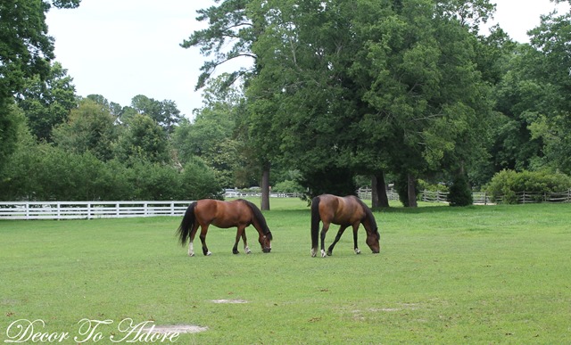 [Summer%2520Vacation%25202013%25201040%255B3%255D.jpg]