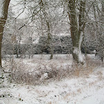 image1.jpg
