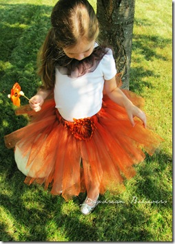 miss pumpkin pie tutu by daydream believers miss pumpkin pie tutu by daydream believers