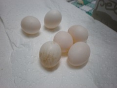 los huevos de kika