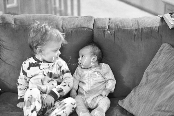 DSC_0680blog.jpg DSC 0680blog