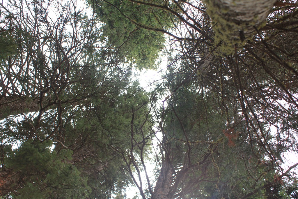 [IMG_4857%255B4%255D.jpg]