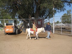 IMG_8728 IMG_8728