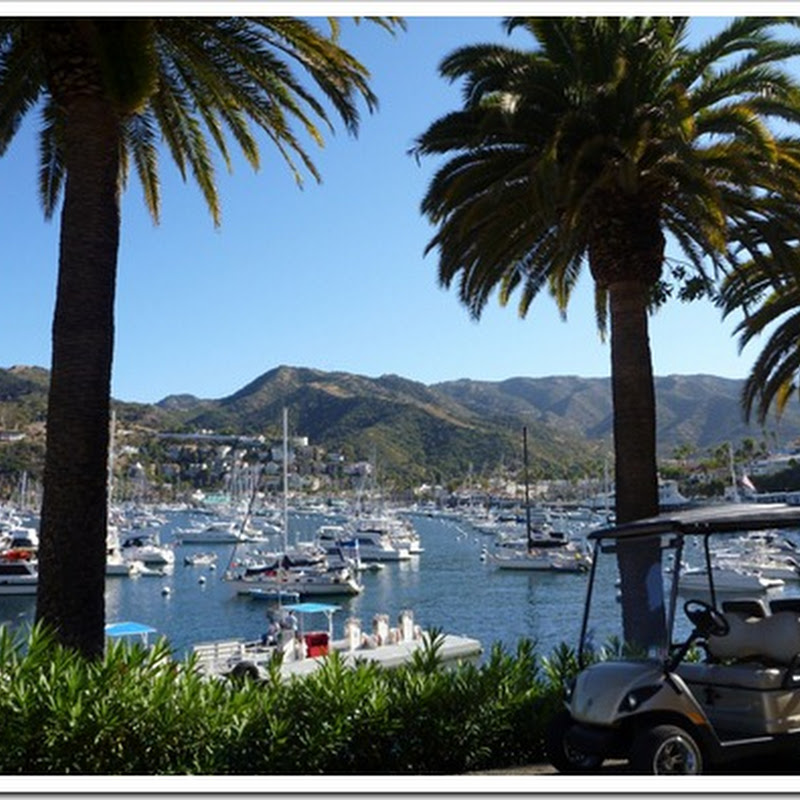 Catalina Island – The land of mooring buoys