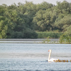 IMG_7892.JPG