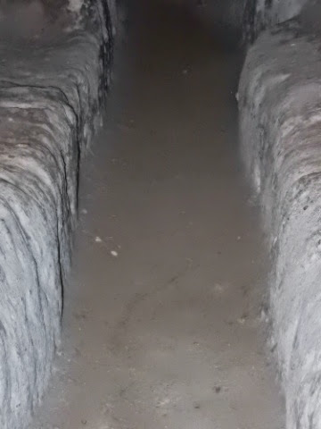 DSCN4109.jpg DSCN4109