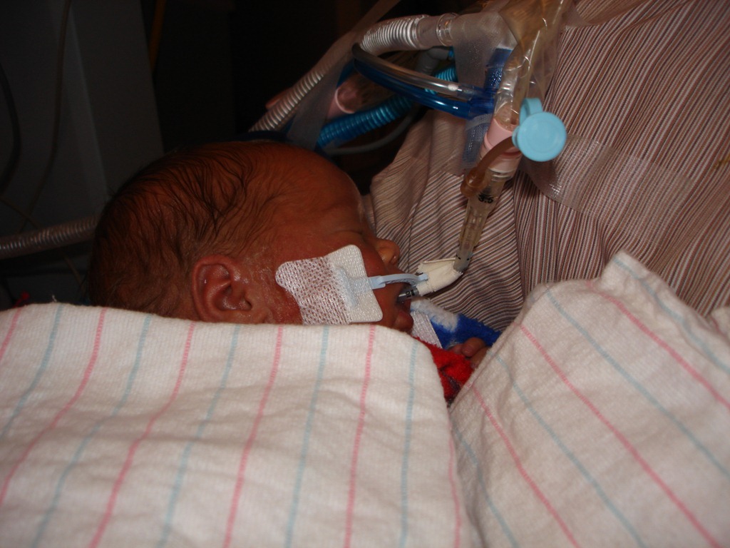 [DSC00275%255B6%255D.jpg]
