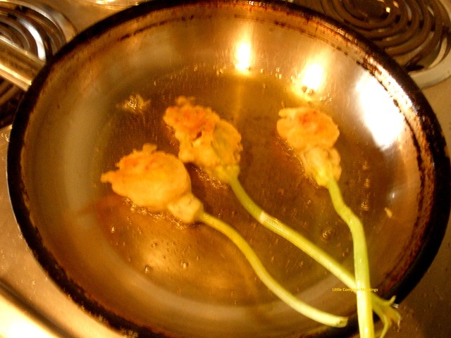 [zucch%2520flowers%2520frying%255B4%255D.jpg]