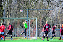 SEIZOEN 2014-2015 - WVV E2 - 28 MRT - WILDERVANK E2 - WVV E2