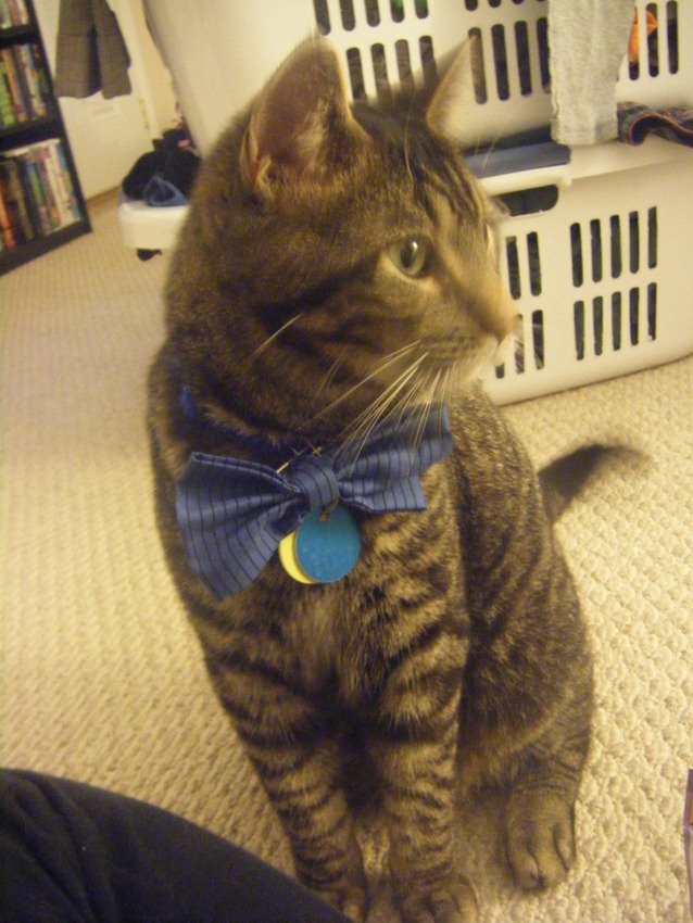 [17.%2520Handsome%2520Hugo%255B5%255D.jpg]