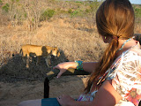 We found a female lion headed back to her cubs, which she'd hid on top of a mountain. We tried to follow but couldn't get the vehicle up that far. South Africa - 498.jpg