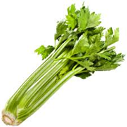 celery