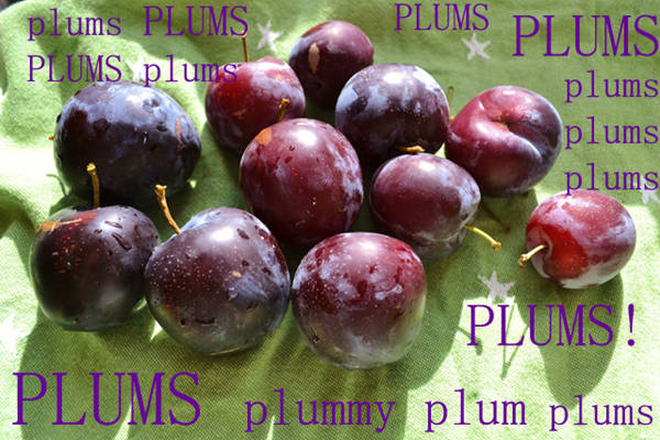 [plums%255B4%255D.png]