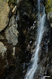 DSC01431.JPG