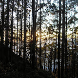 The first rays of sunlight on Gunung Mutis (Daniel Quinn, August 2011)