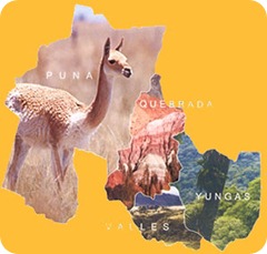 jujuy_divisiones map jujuy_divisiones mapa