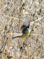 DSC_7677.jpg