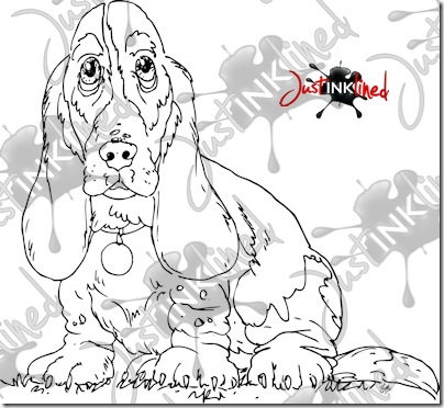 Basset_hound_WM