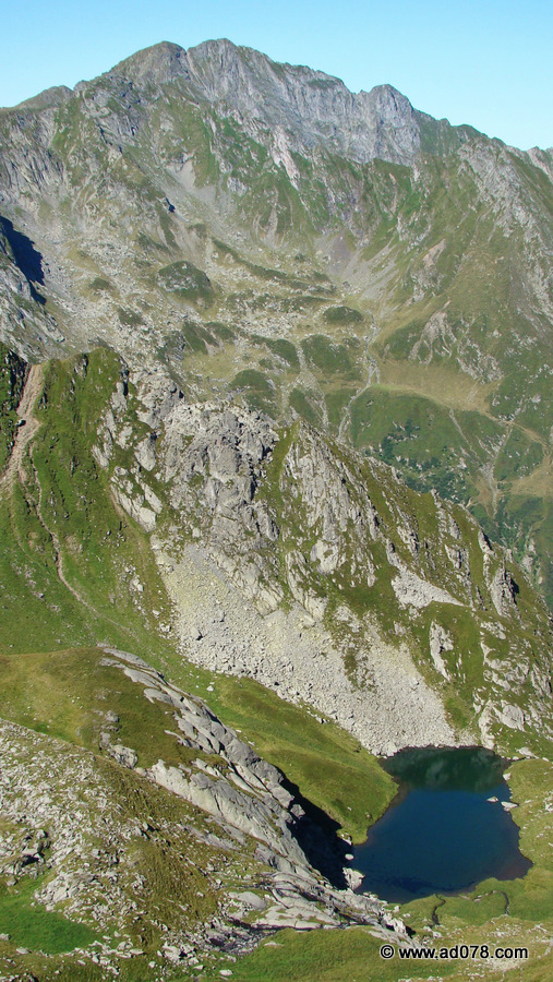 135.jpg