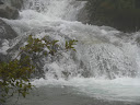 IMG_1321.jpg