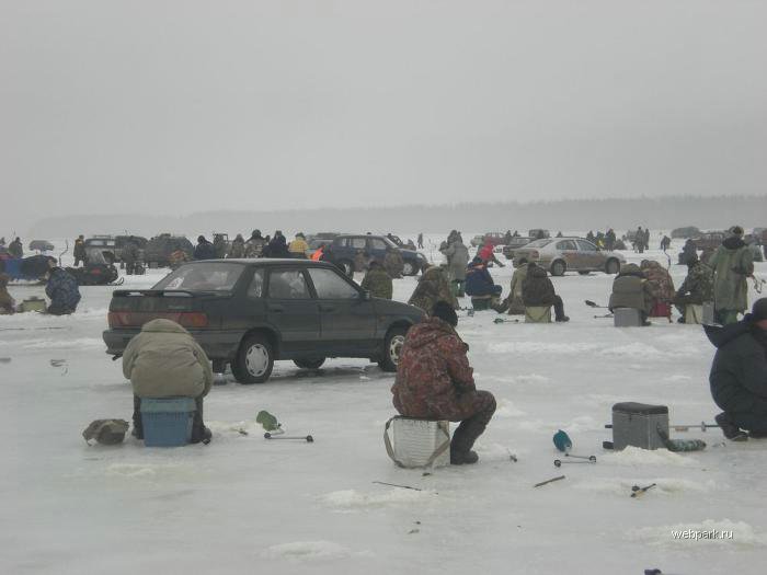 A special kind of Fishing