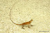 Natura :: Img0883.jpg
