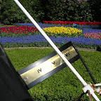 DSCN6859.JPG