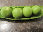 I love fresh peas right out of the pod