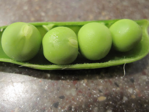 I love fresh peas right out of the pod