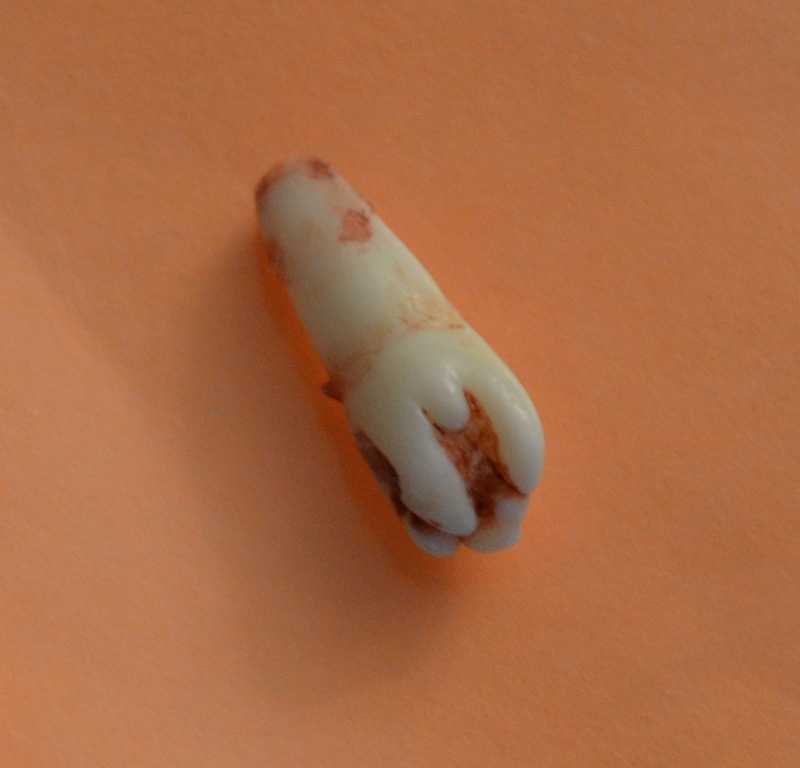 [DSC_1852%255B8%255D.jpg]