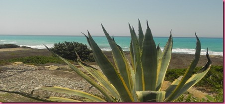 foto Rodi Mare 2 foto Rodi Mare 2
