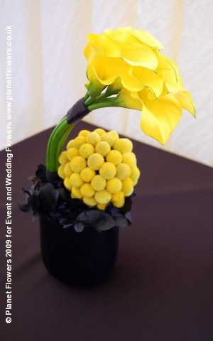 [75-planet-flowers4.jpg]