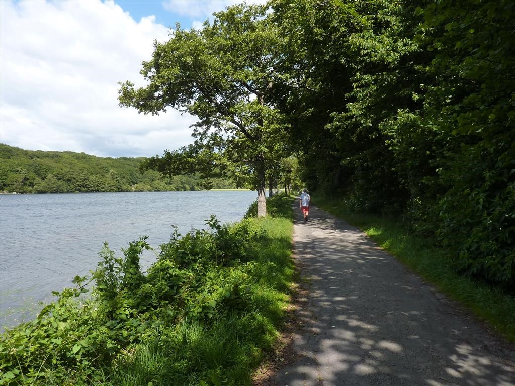 [P1030651-Medium3.jpg]
