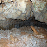 DSC_7159.JPG