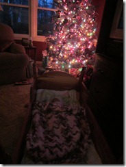 Zoey in front of Christmas Tree2