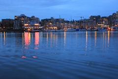 IMG_8510