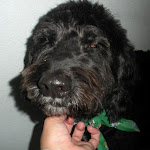 DSCN3578.jpg